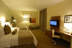 Habitación Estándar Doble del Hotel Antaris Valle