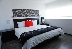 Habitación Avanzada Sencilla con Desayuno del Hotel Basic Hotel