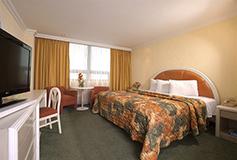 Habitación Estándar Una Cama del Hotel Hotel Benidorm