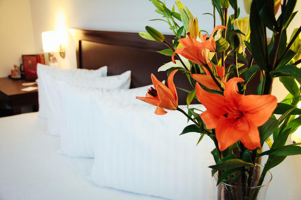 Habitación Estándar Doble del Hotel Best Western Palmareca Hotel and Suites