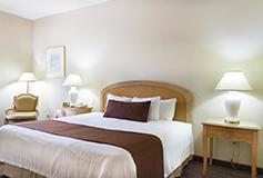 Habitación Estándar Sencilla del Hotel Best Western Plus Monterrey Aeropuerto