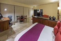 Habitación Deluxe No Reembolsable del Hotel Camino Real Monterrey