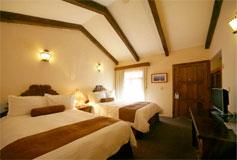 Habitación Estándar del Hotel Hotel Casa Mexicana 