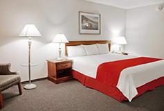 Habitación Suite Sencilla del Hotel Hotel City Express Suites San Luis Potosí