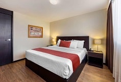 Habitación Junior Suite Una Cama King Size del Hotel Hotel Comfort Inn San Luis Potosi