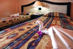 Habitación Estándar del Hotel Coral Cuernavaca Resort and Spa