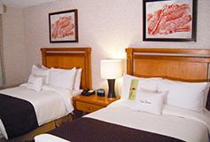 Habitación Suite Doble con Estancia del Hotel Doubletree Suites by Hilton Hotel Saltillo