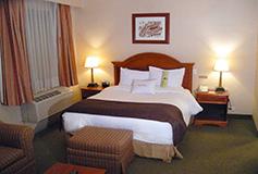 Habitación Suite Sencilla con Estancia del Hotel Doubletree Suites by Hilton Hotel Saltillo