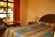 Habitación Estándar Sencilla del Hotel Expohotel