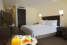 Habitación Superior King del Hotel Hotel Fiesta Inn Toluca Centro