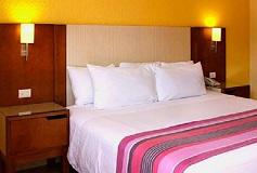 Habitación Estándar Sencilla del Hotel Hotel Misión Express Saltillo