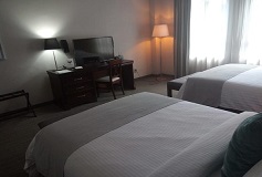 Habitación Habitación de Lujo Doble Matrimonial del Hotel Gran Hotel Concordia