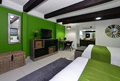 Habitación Estándar del Hotel Hotel Hacienda del Río