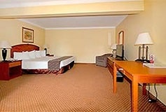 Habitación Estándar Una Cama King Size del Hotel Hafersons Inn Hotel and Suites