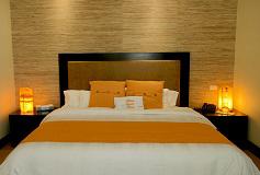 Habitación Estándar Suite del Hotel Hotel HauSuites