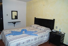 Habitación Estándar con 1 Cama Matrimonial del Hotel Hotel and Suites Posada del Cortijo