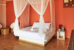 Habitación Estándar Jardín del Hotel Hotel Boutique del Mar