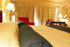 Habitación Camino Real Club King Fumar del Hotel Hotel Camino Real Saltillo