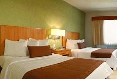 Habitación Estandar con Desayuno Continental No Fumadores del Hotel Hotel Comfort Inn Puerto Vallarta