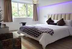 Habitación Habitación Deluxe del Hotel Hotel Condesa 185