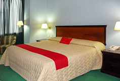 Habitación Estándar del Hotel Hotel-Convenciones Arroyo de la Plata