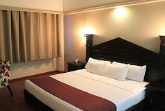 Habitación Ejecutiva Premier del Hotel Hotel Diana del Bosque