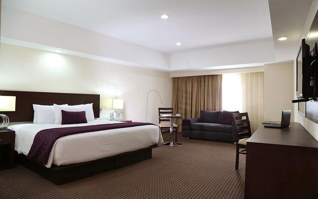 Habitación Estándar con Una Cama del Hotel Hotel Ejecutivo Express