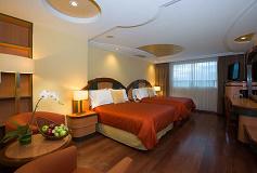 Habitación Estándar Doble del Hotel Hotel Escandón