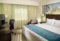 Habitación Habitación Estándar Una Cama King del Hotel Hotel Fairfield Inn by Marriott Los Cabos