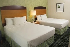 Habitación Estándar del Hotel Hotel Fairfield Inn by Marriott Monterrey Aeropuerto