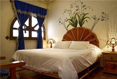 Habitación Colonial Matrimonial del Hotel Hotel Feregrino