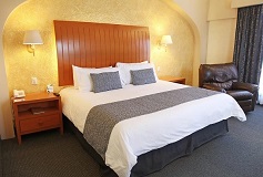 Habitación Estándar Ejecutiva Una Cama del Hotel Hotel Flamingo Inn