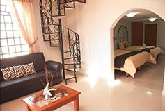 Habitación Suites del Hotel Hotel Francés