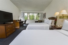 Habitación Habitación Superior Dos Matrimoniales del Hotel Hotel Gamma Veracruz Boca del Río Oliba