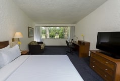 Habitación Habitación Superior Una King del Hotel Hotel Gamma Veracruz Boca del Río Oliba