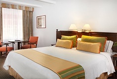 Habitación Deluxe No Reembolsable del Hotel Hotel Geneve