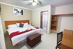 Habitación Estándar Una Cama del Hotel Hotel Grand River Plaza