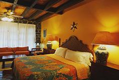 Habitación Junior Suite del Hotel Hotel Hacienda de las Flores