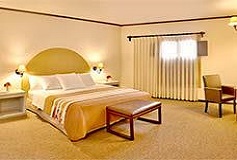 Habitación Deluxe King Plan Europeo del Hotel Hotel Hacienda Jurica by Brisas