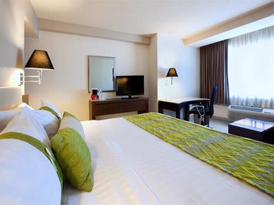 Habitación Volcano View King del Hotel Hotel Holiday Inn Puebla La Noria