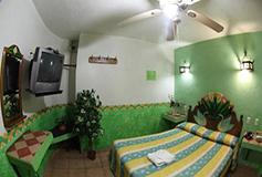 Habitación Estándar Sencilla del Hotel Hotel La Casita