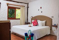 Habitación Junior Suite Vista a la Selva del Hotel Hotel Las Nubes de Holbox