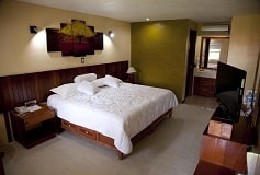Habitación Estándar del Hotel Hotel Los Andes