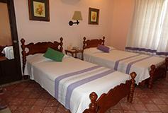 Habitación Estándar Básica del Hotel Hotel Marques del Valle