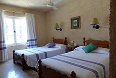 Habitación Estándar Superior del Hotel Hotel Marques del Valle