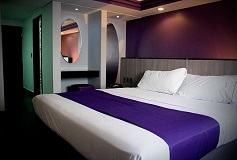 Habitación Suite Sencilla del Hotel Hotel MaxIntimo