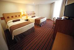 Habitación Estándar Doble del Hotel Hotel Mirabel