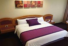 Habitación Estándar Sencillo del Hotel Hotel Mirage