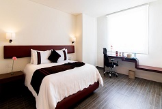 Habitación Estandar Una Cama Queen del Hotel Hotel Misión Express Plus Puebla Angelópolis