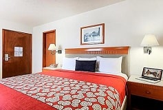 Habitación Estándar Sencilla del Hotel Hotel Olmeca Plaza